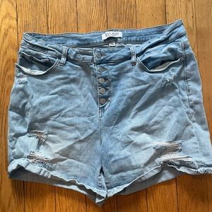 Womens 2xl Judy Blue shorts